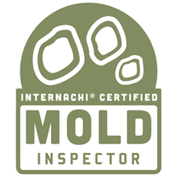 Mold Inspector